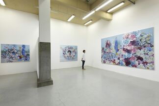 Korehiko Hino: Scenery as is, installation view