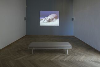 Rose English - The Eros of Understanding, installation view