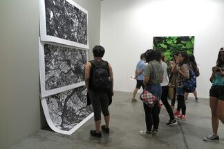 TKG+ at Art Stage Singapore 2015, installation view