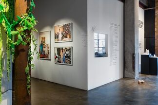 UPROOT, installation view