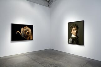 The Dream Goes Over Time, installation view
