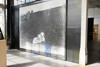 Cloned, installation view