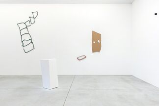 Johan De Wit, installation view