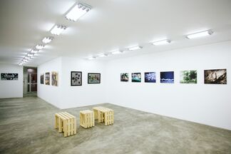 Process and Progression, installation view