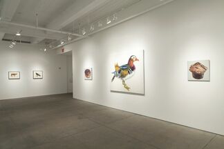 Two Views of Pop: Don Nice and Dorothy Grebenak, installation view
