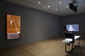 Rafael Lozano-Hemmer: Lapsus Lumen, installation view