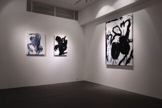"Touch Me I'm Sick" by Joji Nakamura, installation view