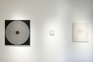 A Tribute To The Responsive Eye, installation view