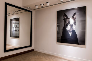 Vincent Lagrange 'The Human Animals', installation view