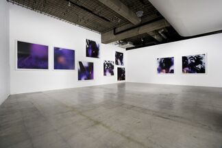 Masahito Koshinaka : double word, installation view