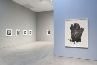 Irving Penn: Personal Work, installation view