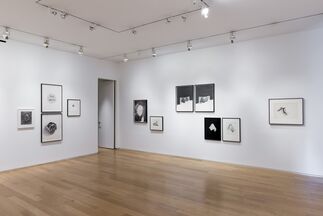 Karl Haendel & Jay DeFeo: Pink Cup and The Facts, installation view