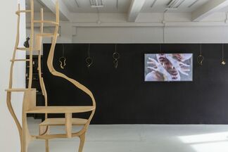 EVES - Sculptural Jewelry by Jacques Jarrige and Photography by Alex Korolkovas, installation view