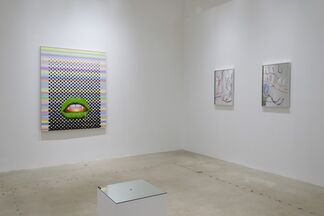 From Enchantment to Eschalon, installation view
