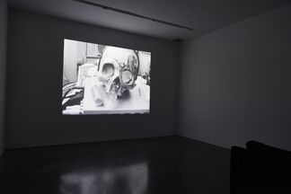 Freeze Means Run, installation view