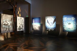 NOMAD TWO WORLDS (in collaboration with Pier 59 Studios, Los Angeles, USA), installation view