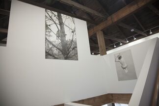 Sophia Hamann - Studies, installation view