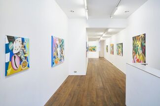 Alexandra Haynes - The Shapes of Nature, installation view
