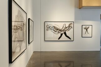 Cathy Daley, installation view