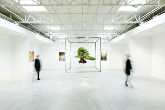 Azuma Makoto SHIKI: Landscape and Beyond, installation view