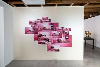 If She Hollers, installation view