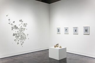 Rob Wynne: Invisible Reality, installation view