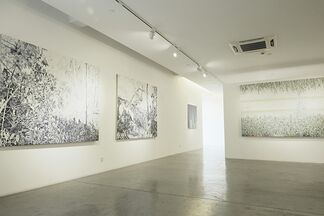 New Landscapes, installation view