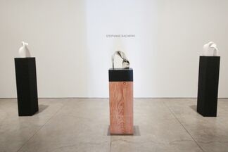 Jan Maarten Voskuil and Stephanie Bachiero, installation view