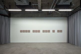 Wang Wei, Ko Sin Tung: Muse for a Mimeticist, installation view
