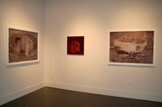 In the Belly of the Beast: Ricky Armendariz, installation view