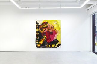 I'm Not Being Funny, installation view