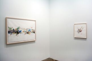 Emilie Clark: Everything Drawings, installation view