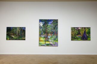 Encircling Trees and Radiant Skies, installation view