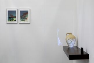 Studio Trisorio at Artefiera Bologna 2020, installation view