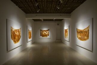 Cal Lane: Veiled Hood and Stains, installation view