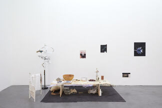 Mimosa Echard, Hannah Buonaguro, Ryan Foerster - "Spitting an image of you", installation view