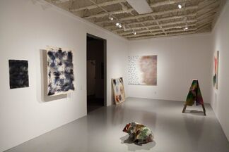 Hiyme Brummett "Semantic Color Space", installation view
