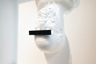 'OVERTHRONE! POORING REIGN' By CYRCLE. 07.03.14 - 06.04.14, installation view