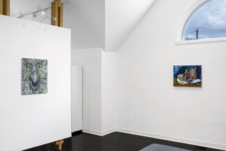 For The Birds, installation view