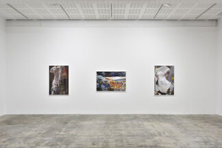 JAMES WELLING: The Earth, the Temple and the Gods, installation view