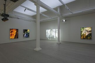 Matt Saunders: Poems of Our Climate, installation view