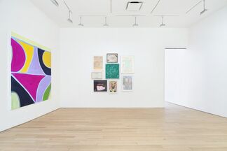 Vanishing Points: Curated by Andrianna Campbell, installation view