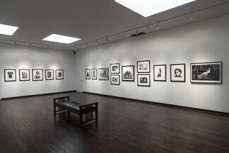 Arthur Elgort: The Big Picture, installation view