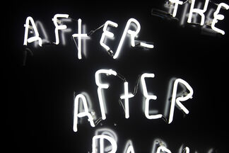 The After-Afterparty, installation view