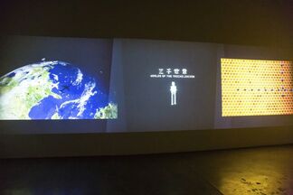 Zhang Xiaotao: In The Realm Of Microcosmic, installation view
