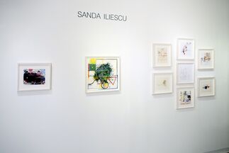 Sanda Iliescu In the Garden of (plastic) Paradise, installation view