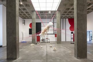 Julieta Aranda: Ghost Nets, installation view