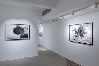HERE COMES THE ROOSTER, installation view