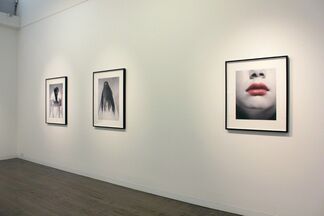 Just So, installation view