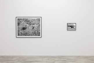 Ulrich Gebert – UR, installation view